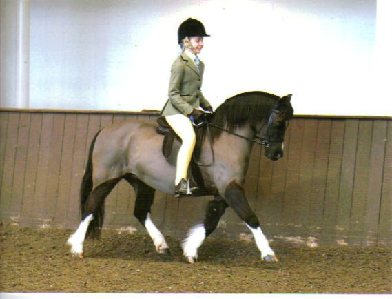 Floreat Creme de Cassis